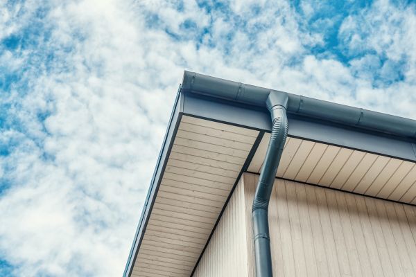 Gutter Fascia Repair in Reston